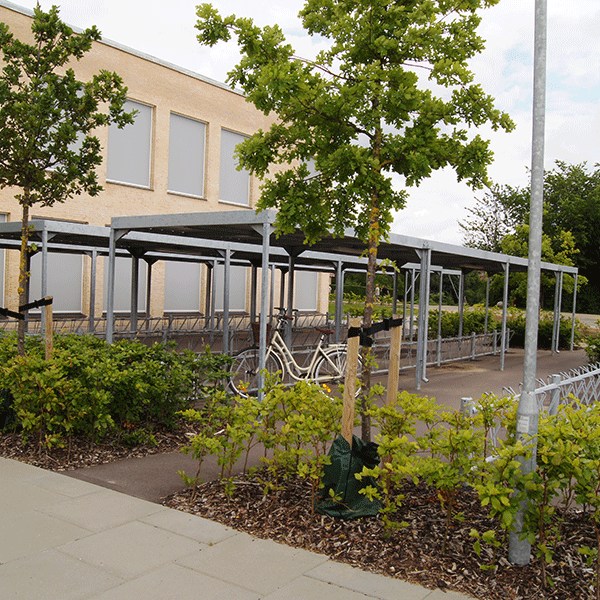 Horsens Gymnasium og HF med 686 cykelparkeringspladser